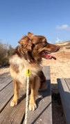 HAPPY Image 6